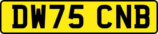 DW75CNB