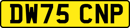 DW75CNP