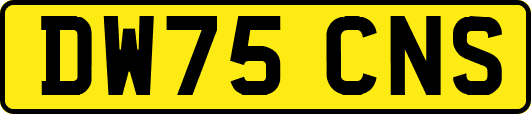DW75CNS