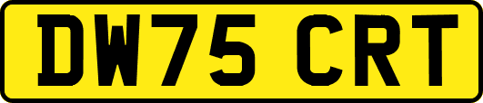 DW75CRT