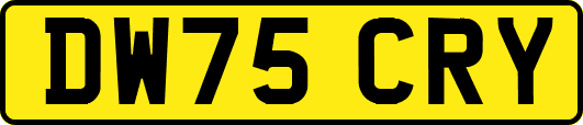 DW75CRY