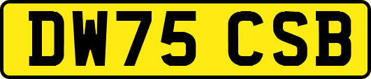 DW75CSB