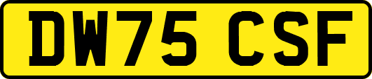 DW75CSF