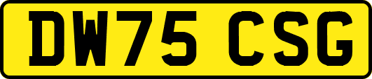 DW75CSG
