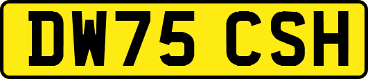 DW75CSH