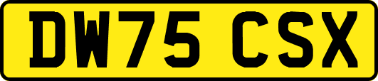DW75CSX
