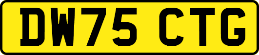 DW75CTG