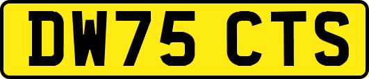 DW75CTS