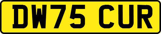DW75CUR