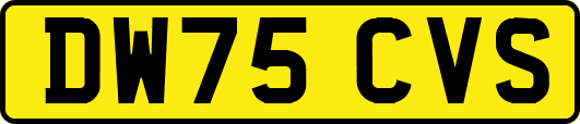 DW75CVS