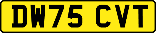 DW75CVT