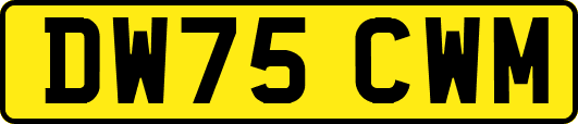 DW75CWM