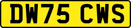 DW75CWS