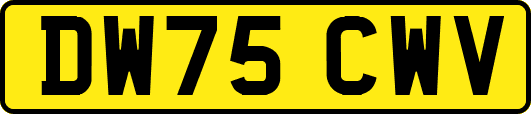 DW75CWV