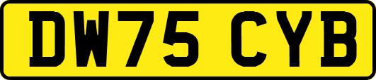 DW75CYB