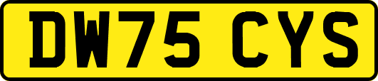 DW75CYS