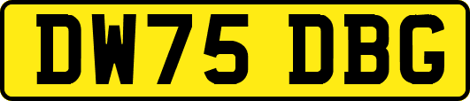 DW75DBG