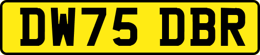 DW75DBR