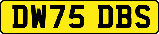 DW75DBS