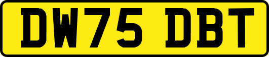 DW75DBT