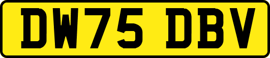 DW75DBV