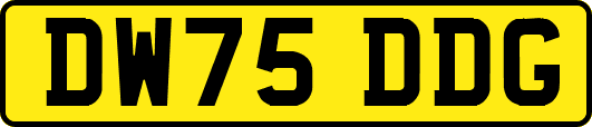 DW75DDG