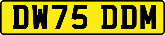 DW75DDM