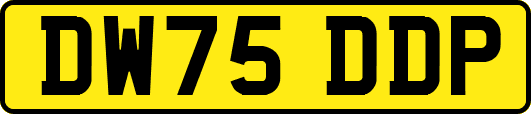 DW75DDP
