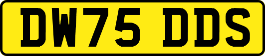 DW75DDS