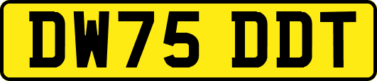 DW75DDT