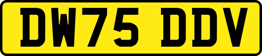 DW75DDV