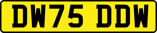 DW75DDW