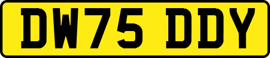 DW75DDY