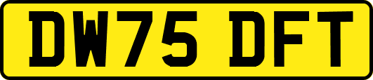 DW75DFT