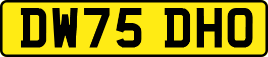 DW75DHO