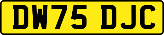 DW75DJC
