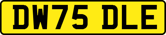 DW75DLE