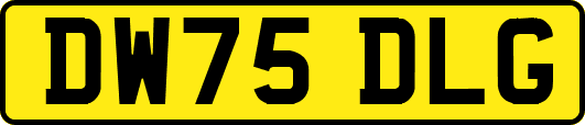 DW75DLG