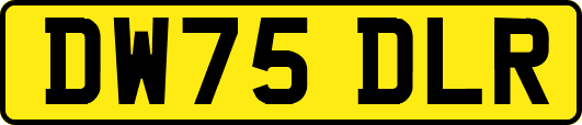 DW75DLR