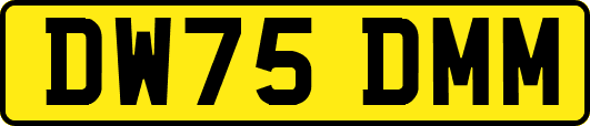 DW75DMM
