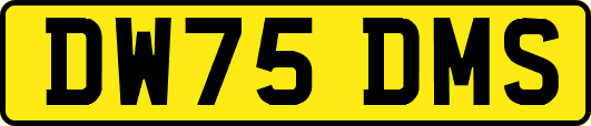 DW75DMS