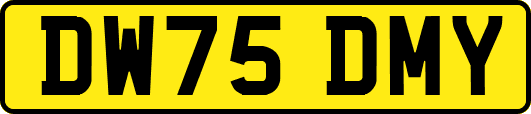 DW75DMY