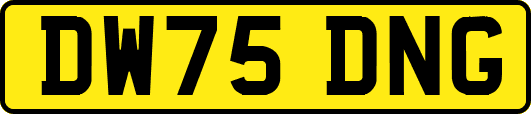 DW75DNG