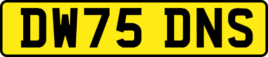 DW75DNS