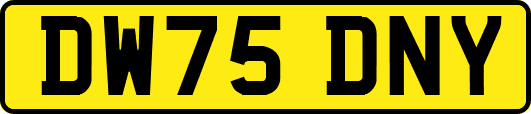DW75DNY