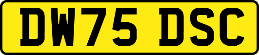 DW75DSC