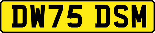 DW75DSM