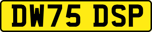 DW75DSP