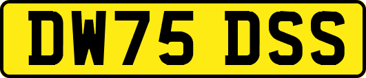 DW75DSS
