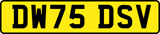DW75DSV